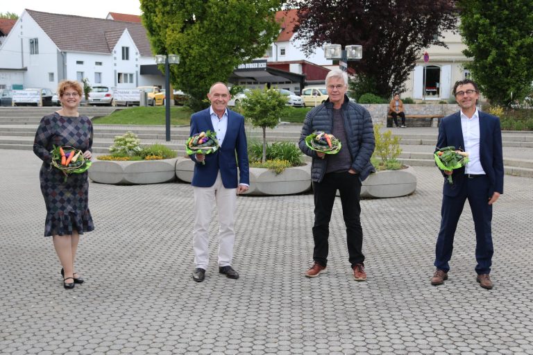 Grüne im Stadtrat Lauingen