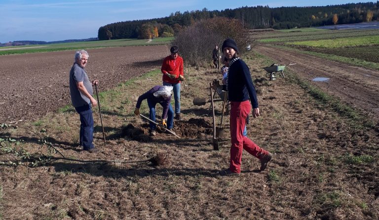 Pflanzaktion in Bachhagel