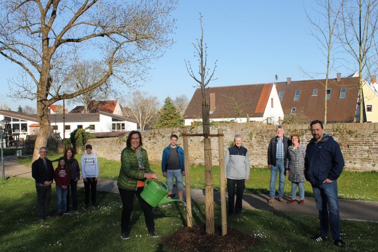 Ortsverband Wertingen pflanzt „Stadtparklinde“ zum „Tag des Baumes“