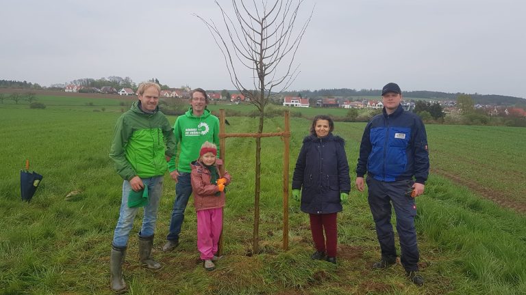 Tag des Baumes – Pflanzung in Haunsheim
