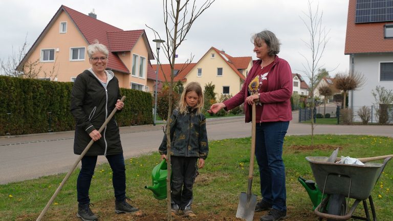 Tag des Baumes – Pflanzaktion in Buttenwiesen