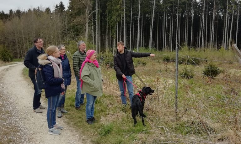 Ein Stück klimagerechter Stadtwald in Wertingen