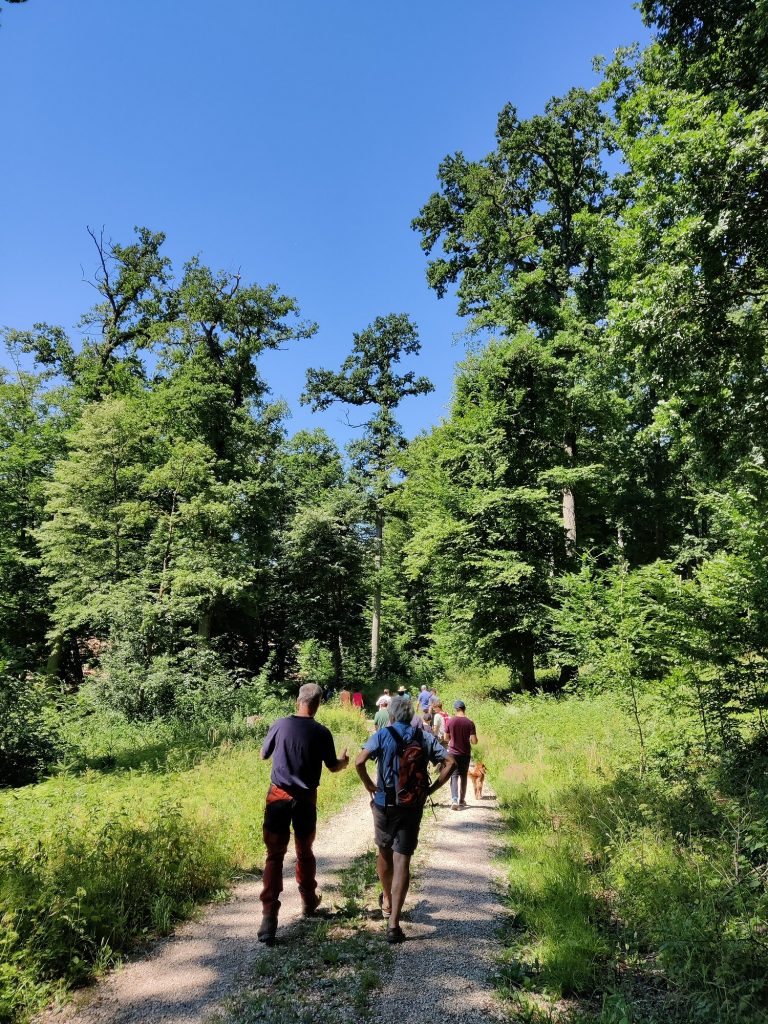 Waldspaziergang mit Forstwirt Matthias Kieninger