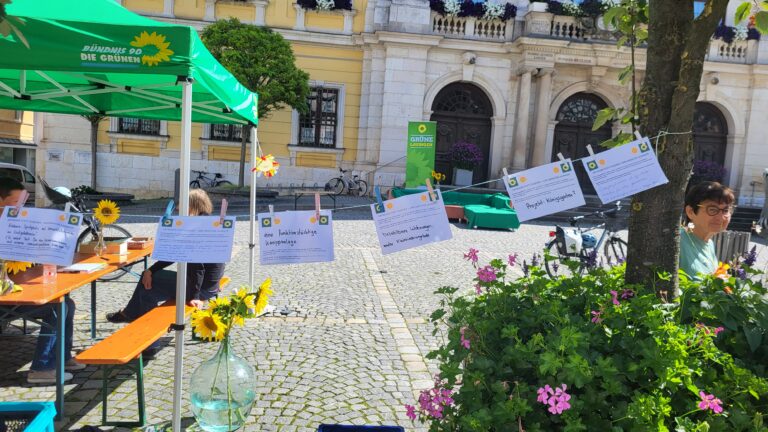 Was Lauingen wirklich bewegt …