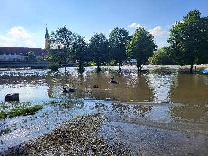 Grüne laden zu Infoabend zum Hochwasserschutz ein
